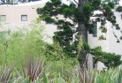 Melrose Park SAcommercial-landscaping-10.jpg; ?>