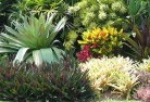 Melrose Park SAlandscape-gardener-24.jpg; ?>