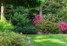Melrose Park SAlandscape-gardener-46.jpg; ?>